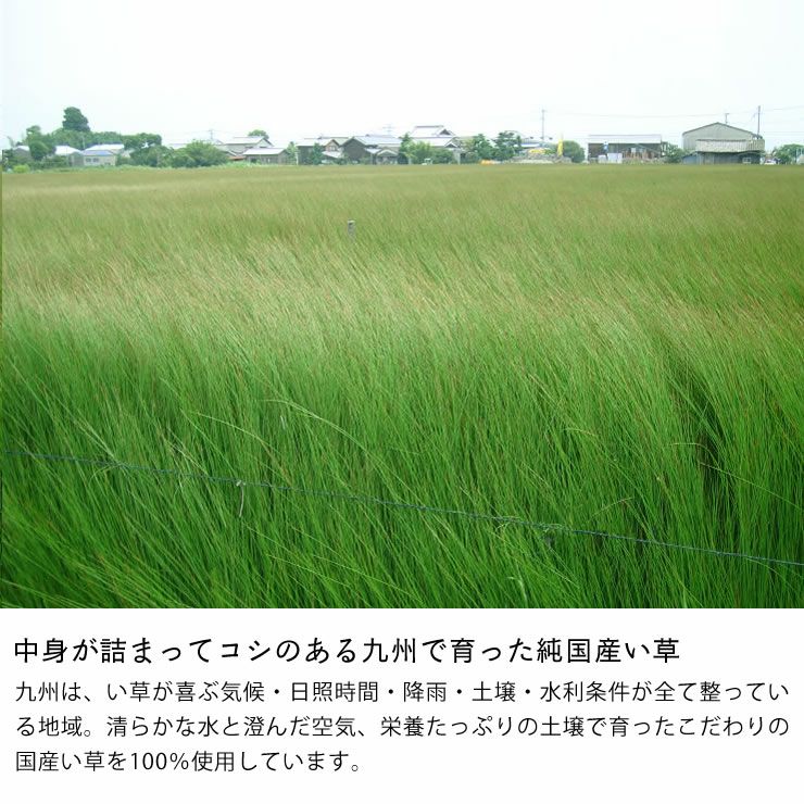 中身が詰まってコシのある九州で育った純国産い草の置き畳
