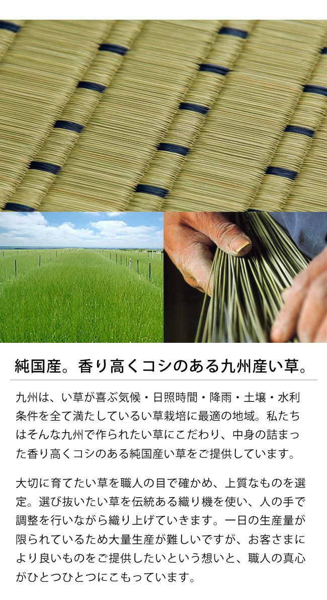 い草ラグ・カーペット「水草」 江戸間3畳（174×261cm） 3帖_詳細05