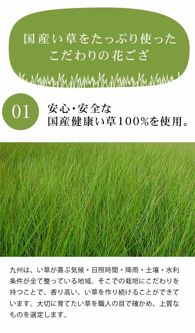 国産健康い草100％使用したい草ラグ