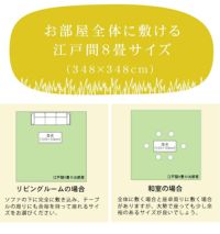 気軽に使える大きさのい草ラグ