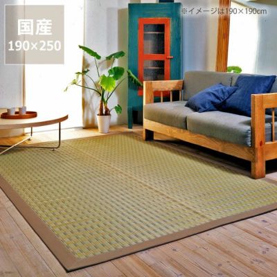【国産】い草 ラグ い草ラグ い草カーペット「梓」 (190×250cm)  インスタイル (inSTYLE)<br>