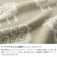 リッチでやわらかな感触のシュニールコットンを使用した椅子