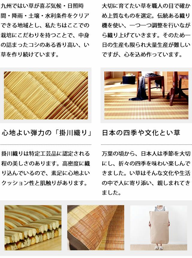 い草ラグ・カーペット「晩秋（ばんしゅう）」 江戸間3畳（174×261cm） 3帖_詳細05