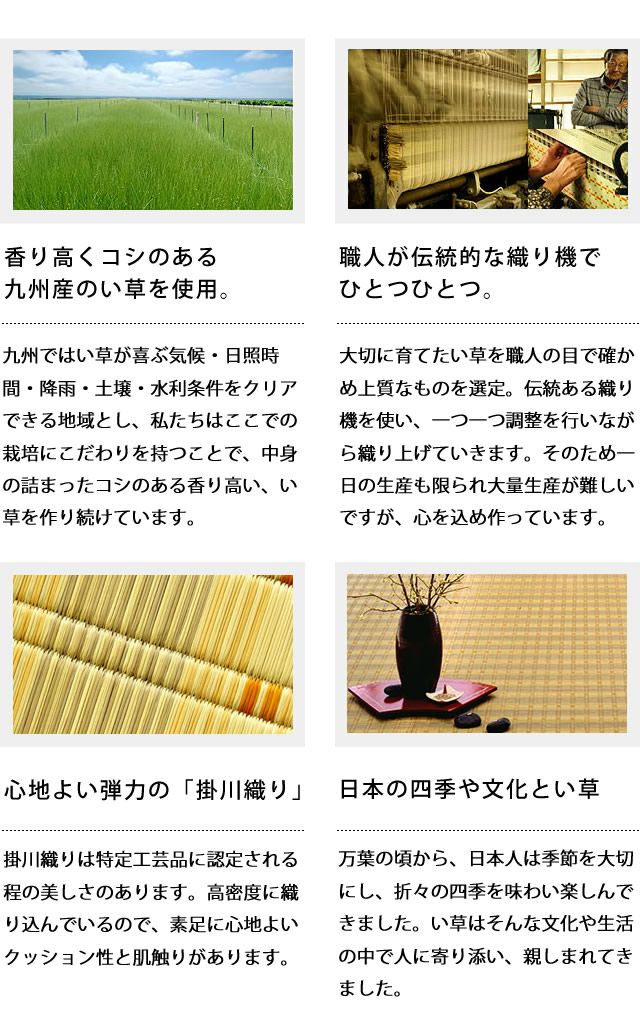 い草ラグ・カーペット「華厳」 江戸間3畳（174×261cm） 3帖_詳細05