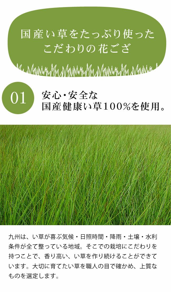 国産健康い草100％使用したい草花ござ