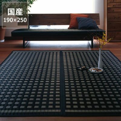 【国産】い草 ラグ い草ラグ い草カーペット「ロッタ」 (190×250cm)  インスタイル (inSTYLE)<br>