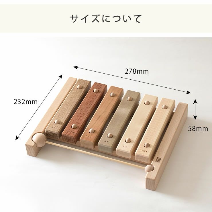 小さな森の合唱団のサイズについて