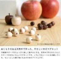 La Luz（ラルース）りんごマグネット（5個セット）_詳細04