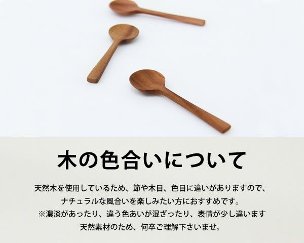 La Luz（ラルース）スパイススプーン（1本）_詳細03