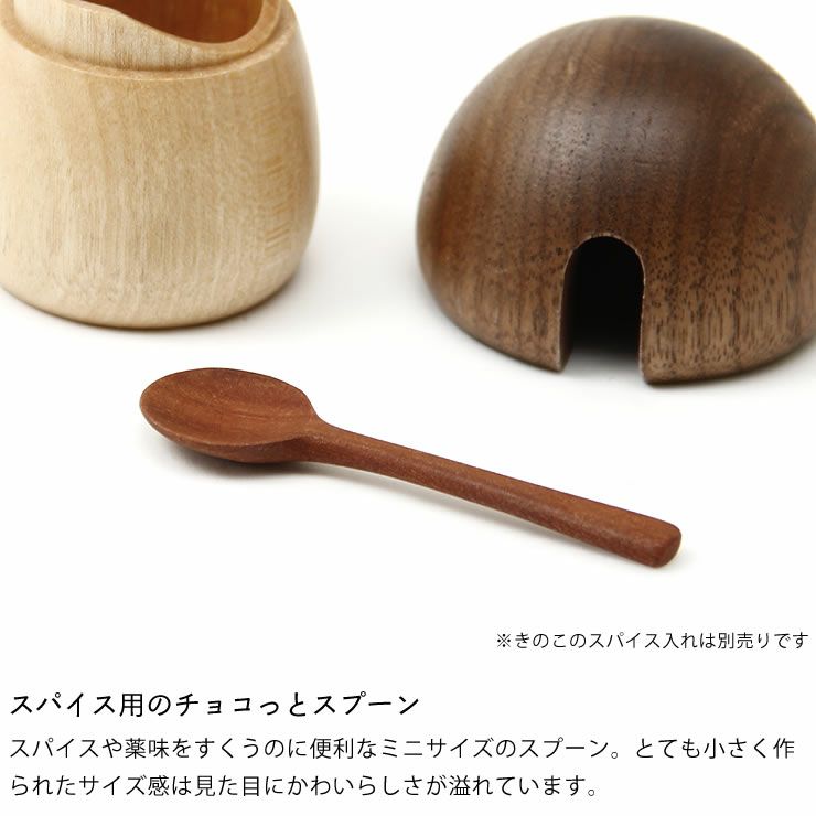 La Luz（ラルース）スパイススプーン（1本）_詳細04
