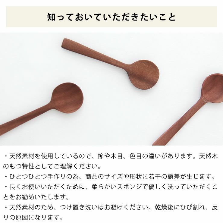 La Luz（ラルース）スパイススプーン（1本）_詳細09