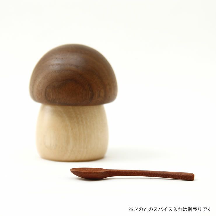 La Luz（ラルース）スパイススプーン（1本）_詳細14