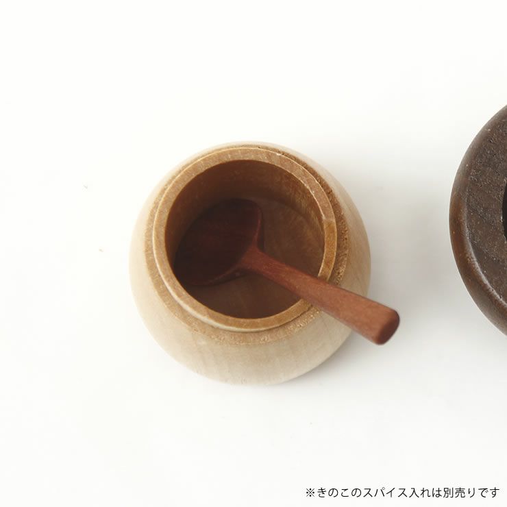 La Luz（ラルース）スパイススプーン（1本）_詳細15