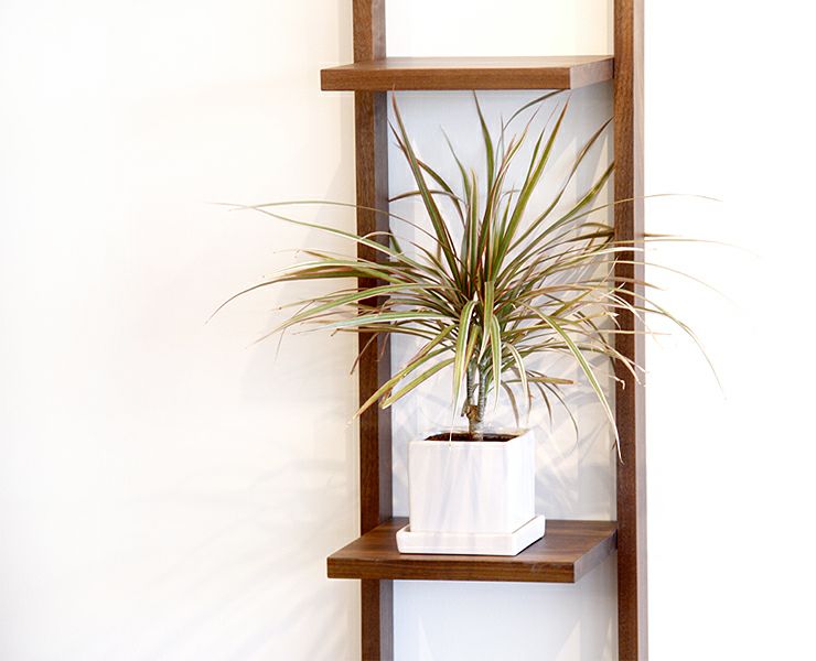 ディズプレイを綺麗に魅せるウォールナット材の木製ラック_詳細02