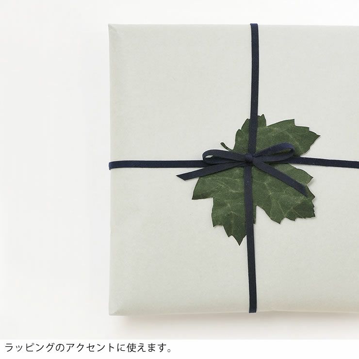 SIWA（シワ）葉っぱのしおり10枚セット_詳細11