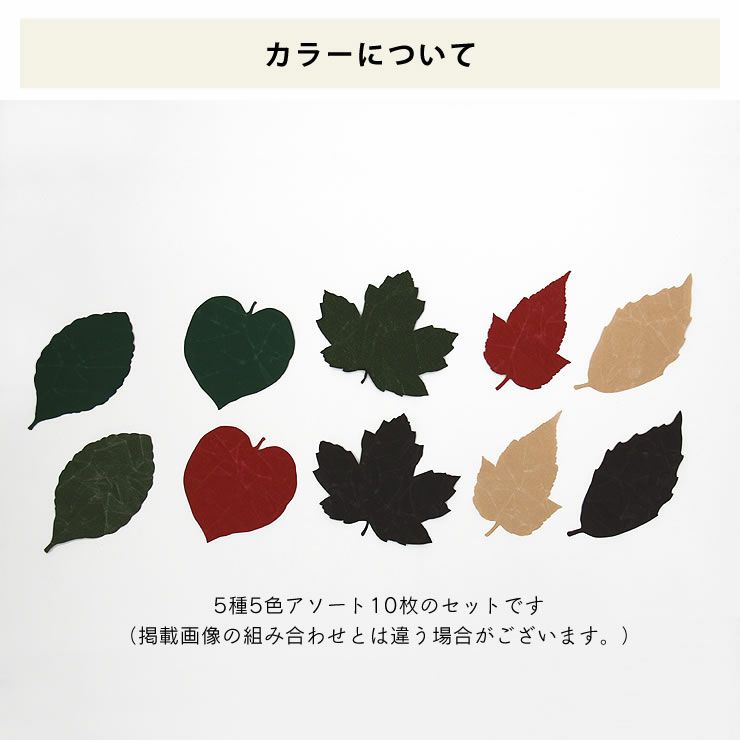 SIWA（シワ）葉っぱのしおり10枚セット_詳細14