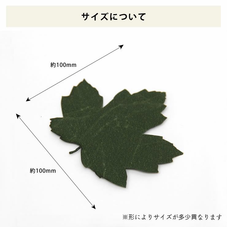 SIWA（シワ）葉っぱのしおり10枚セット_詳細15