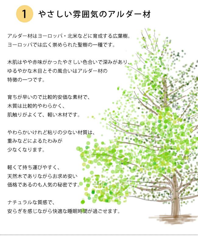 優しい雰囲気のアルダー材二段ベッド