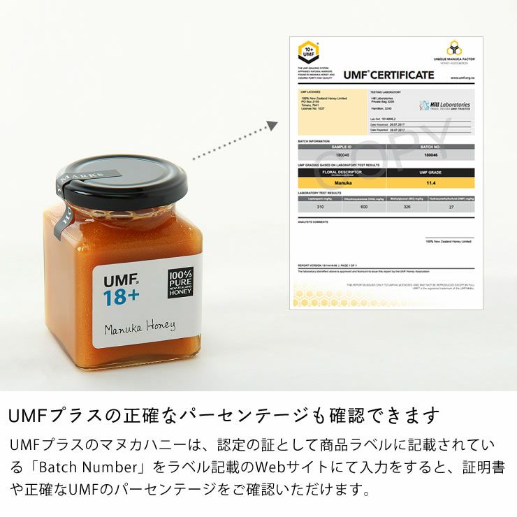 HONEY MARKS（ハニーマークス）マヌカハニーUMF18プラス（250g）_詳細08