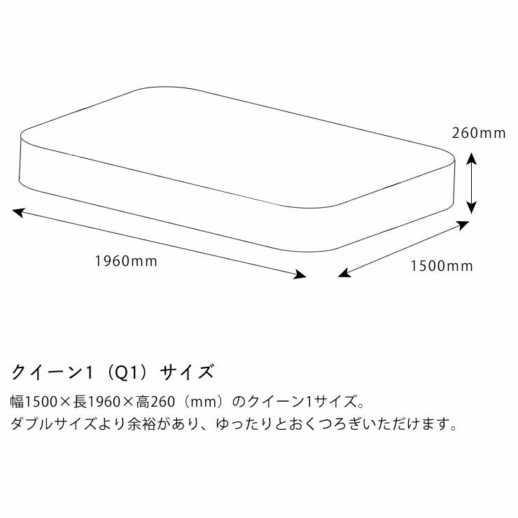 サータ（Serta）ポスチャーノーマルポケットコイルマットレス（ノーマルタイプ）Q1 クイーン1サイズ（3ゾーン：交互配列）_詳細14