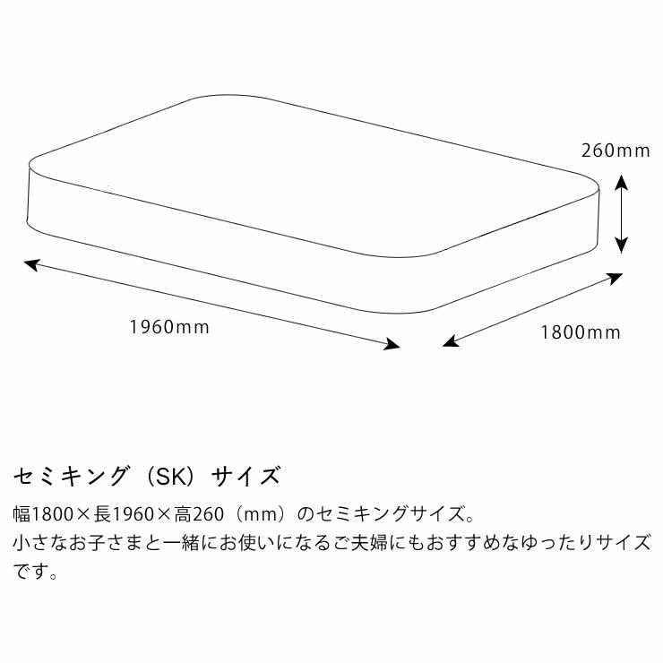 サータ（Serta）ポスチャーノーマルポケットコイルマットレス（ノーマルタイプ）SK セミキングサイズ（3ゾーン：交互配列）_詳細14