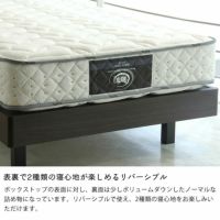 サータ(Serta)ペディック62 ノーマル サータペディック62 サータ(Serta)ペディック62 ノーマル サータペディック62