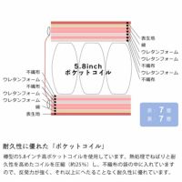 サータ（Serta）ペディック62 ノーマル F1Pポケットコイルマットレス（ノーマルタイプ）Q1 クイーン1サイズ（3ゾーン：並行配列）_詳細08
