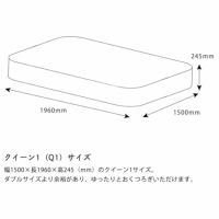 サータ（Serta）ペディック62 ノーマル F1Pポケットコイルマットレス（ノーマルタイプ）Q1 クイーン1サイズ（3ゾーン：並行配列）_詳細14