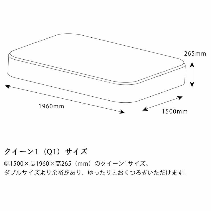 サータ（Serta）ペディック62 ボックストップ F1Pポケットコイルマットレス（BOXトップタイプ）Q1 クイーン1サイズ（3ゾーン：並行配列）_詳細14