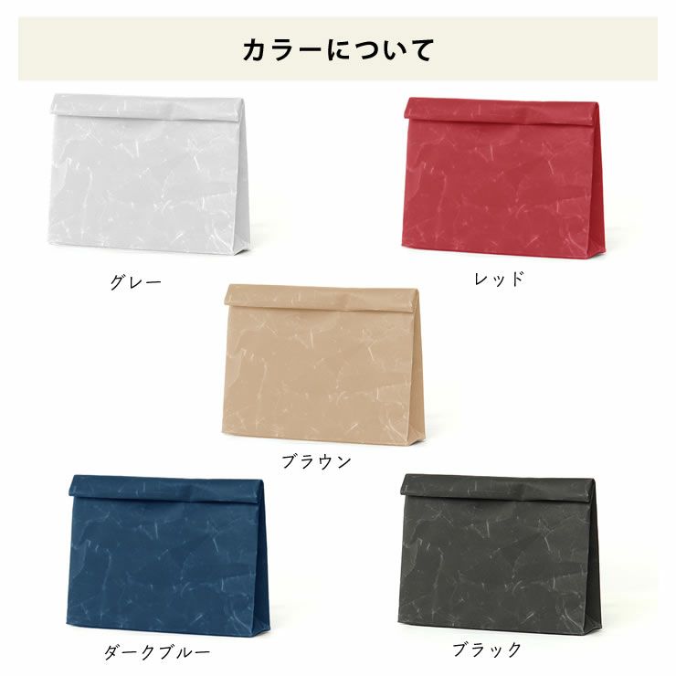 日本未発売】 特殊な和紙で作られた軽くて風合いの良いバッグ SIWA シワ クラッチバッグ Wide紙袋 軽量 デザイナー：深澤直人  xn--diseosdelsur-dhb.com