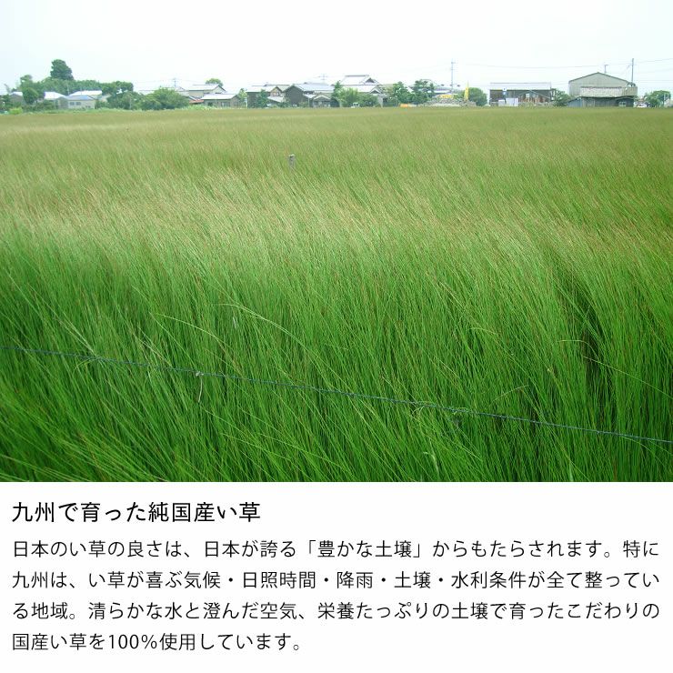 九州で育った純国産い草を使用した消臭剤