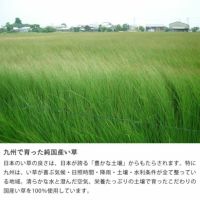 九州で育った純国産い草を使用したディフューザー