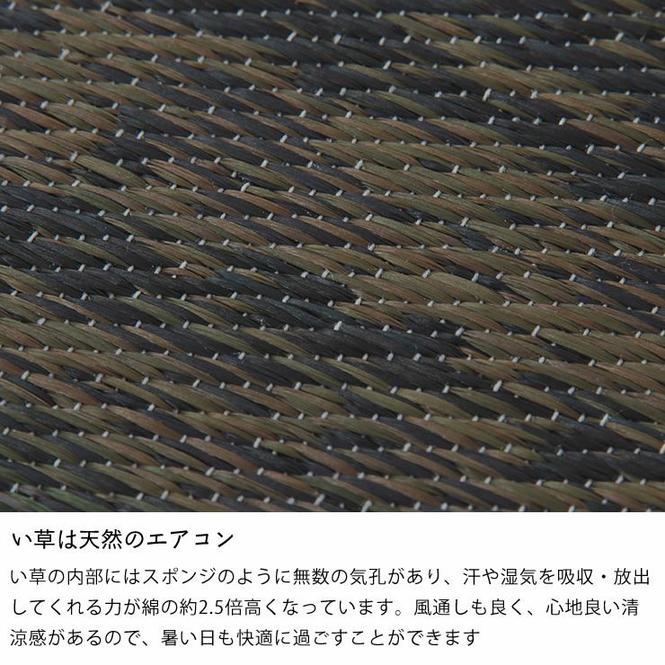 い草ラグ・カーペット 江戸間1畳(87×174cm) 「カイン」_詳細07