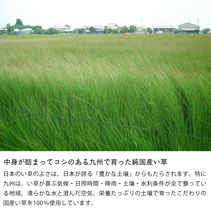 中身が詰まってコシのある九州で育った純国産い草カーペット