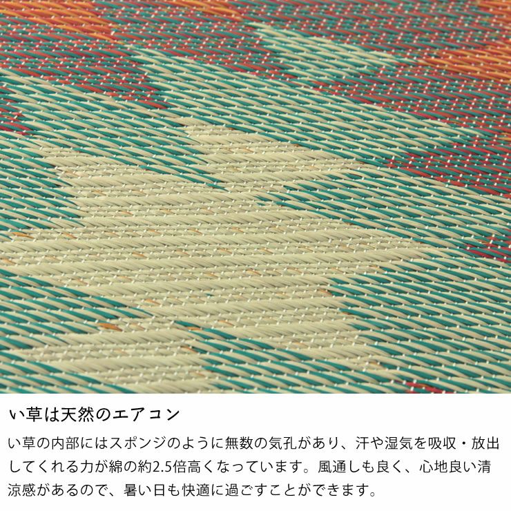 カジュアルに使えるい草ラグ　Fバナス 191×250cm 裏貼り加工_詳細07