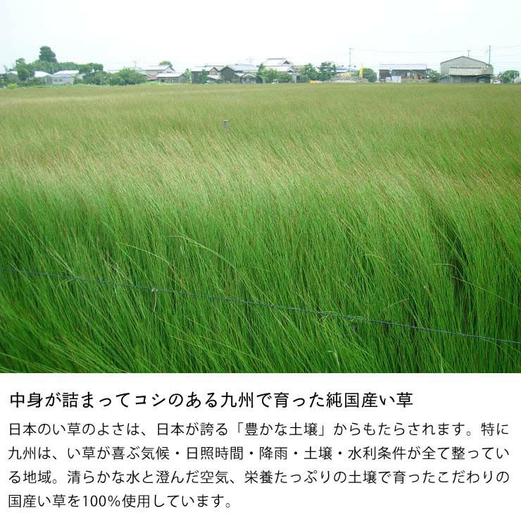 中身が詰まってコシのある九州で育った純国産い草の花ござ