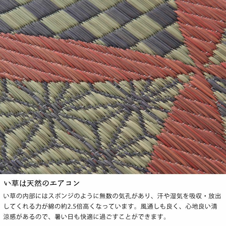 格子模様が美しいい草ラグ 191×250cm 裏貼り加工 「DX常盤」_詳細06