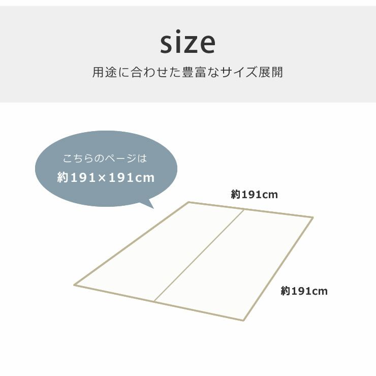 九州産い草と国産デニム生地の純国産い草ラグ 191×191cm（裏貼り加工） 「DXデニムラルフ」_詳細16