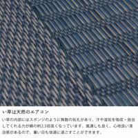 天然のエアコンとも言われ節電にもおすすめない草カーペット