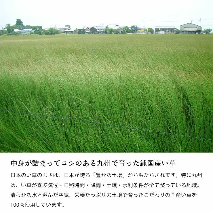 中身が詰まってコシのある九州で育った純国産い草のい草上敷き