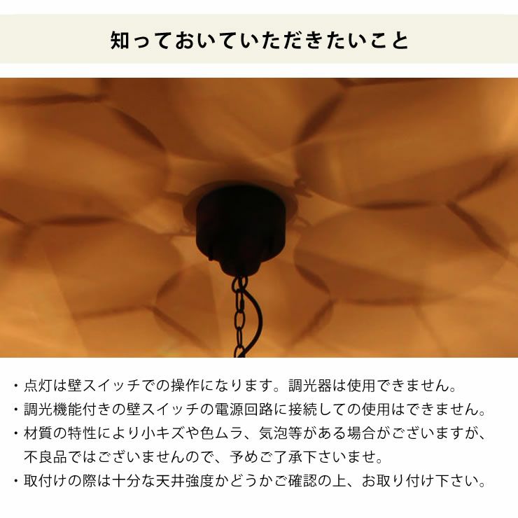 BRID（ブリッド） BRカラーウッド仕様ワークライト6灯ペンダントライト_詳細12