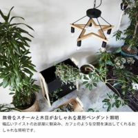 000000041494-04-s.jpg?t=