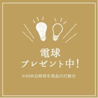BRID（ブリッド） コールスシェード4灯クロスシーリングランプ_詳細10