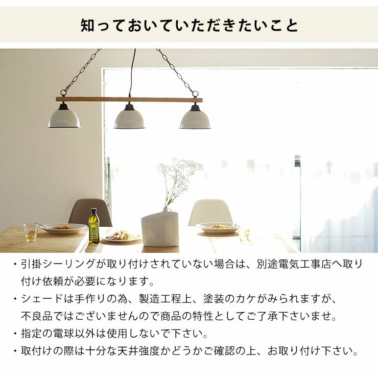 電球プレゼント】BRID（ブリッド） ジェン ペンダントライト