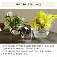 HOLMEGAARD（ホルムガード）デザインウィズラ フラワーベース