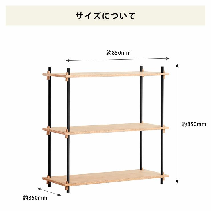 MOEBE（ムーベ）シェルビングシステムシングル 高さ85cm（オーク）_詳細08