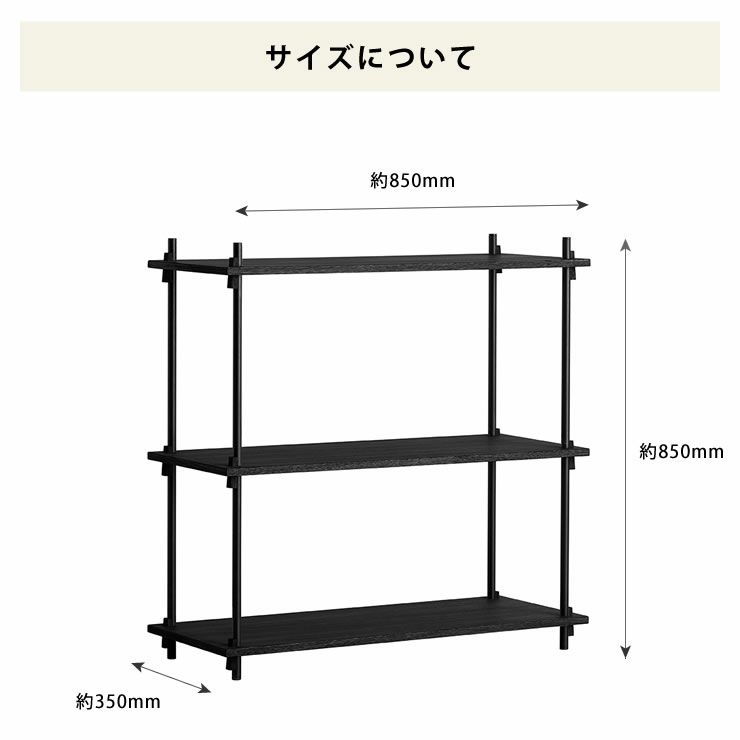 MOEBE（ムーベ）シェルビングシステムシングル 高さ85cm（ブラック）　_詳細08