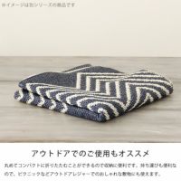 Brita Sweden(ブリタ スウェーデン)イン＆アウトドアラグプラスチックフォイル70×150Ingrid_詳細09