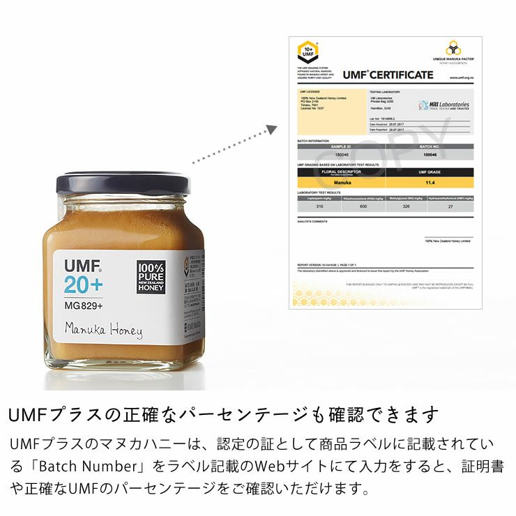 HONEY MARKS（ハニーマークス）マヌカハニーUMF20プラス（250g）_詳細08