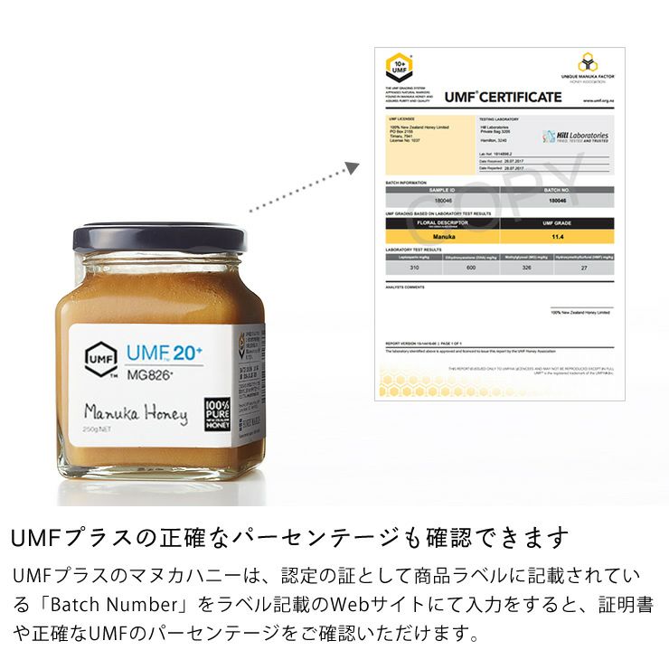 HONEY MARKS（ハニーマークス）マヌカハニーUMF20プラス（250g）_詳細08